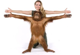 Humanos y orangutanes: Similitudes genéticas al 97%