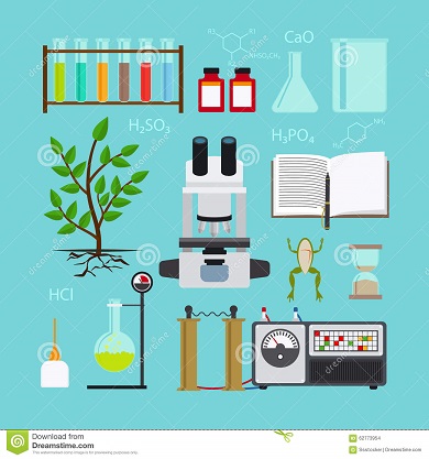 Estándares Biología y Geología, 1º ESO, curso 2017/18